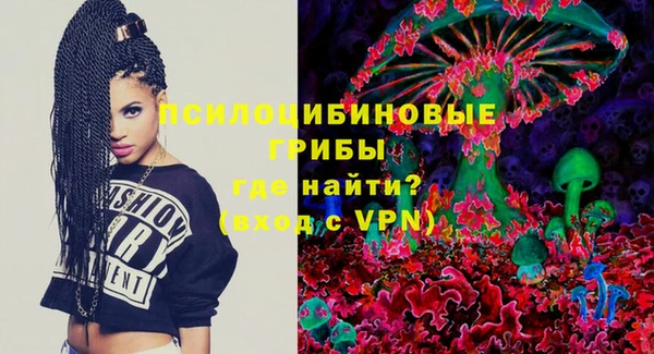 мдпв Надым