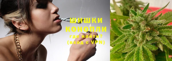 мдпв Надым