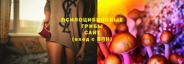 спайс Баксан