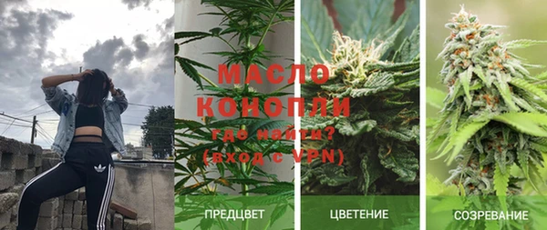 мдпв Надым