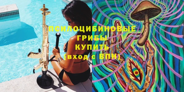 мдпв Надым
