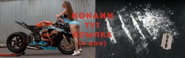 мдпв Надым