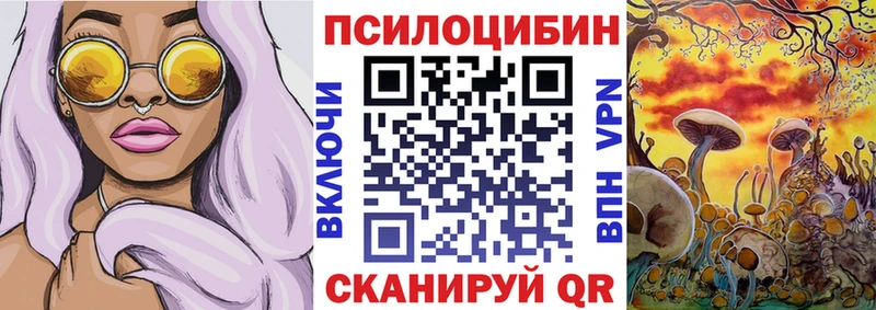 Псилоцибиновые грибы Psilocybe  Пугачёв 