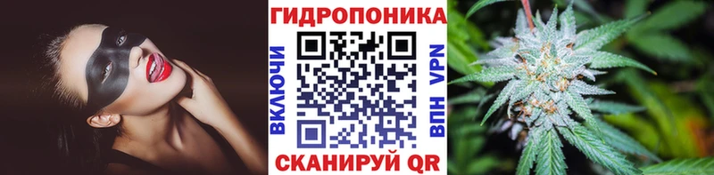 Марихуана гибрид  Пугачёв 
